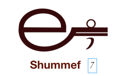 Shummef, The Shum Perspective
